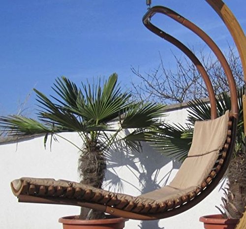ASS Design Hängeliege NAVASSA-SEAT-GRÜN aus Holz Lärche/Metall mit Auflage (OHNE Gestell) von